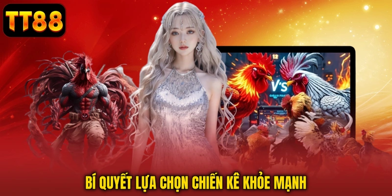Bí quyết lựa chọn chiến kê khỏe mạnh