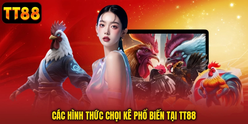 Các hình thức chọi kê phổ biến tại TT88