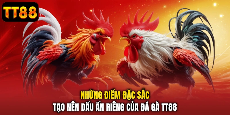 Những điểm đặc sắc tạo nên dấu ấn riêng của đá gà TT88